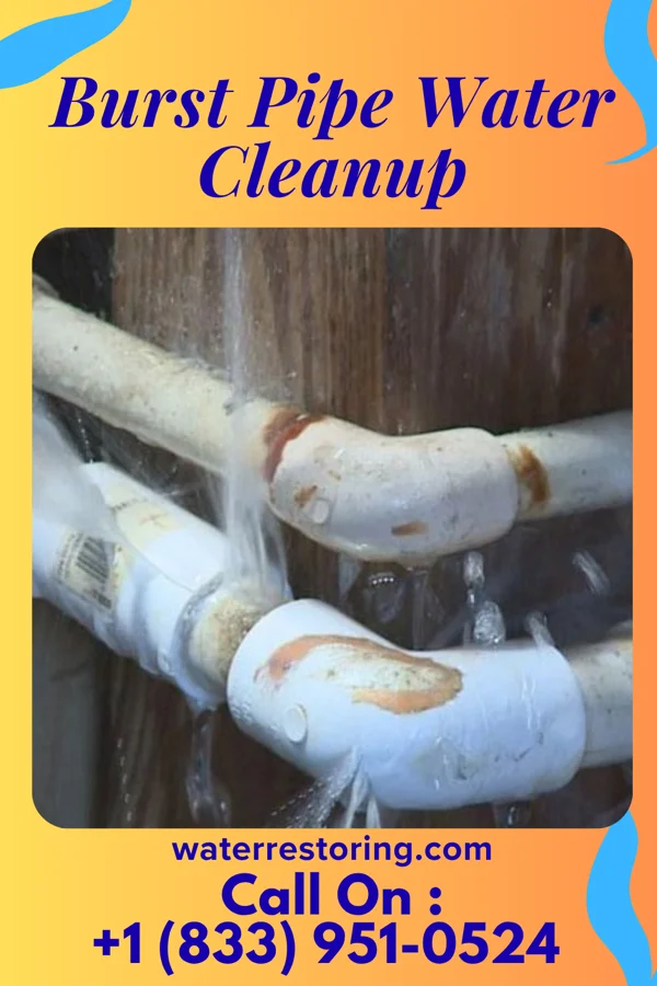 Burst Pipe Water Cleanup in Waldo, KS