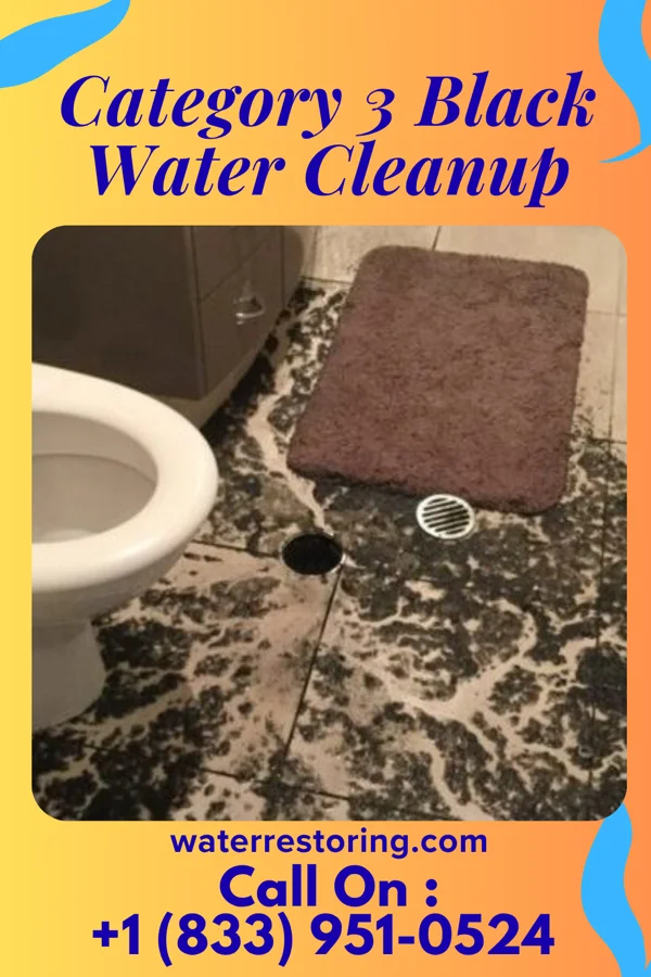 Category 3 Black Water Cleanup in Waldo, KS