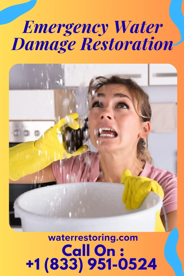 Emergency Water Damage Restoration in Waldo, KS