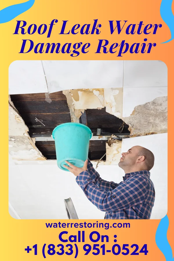 Roof Leak Water Damage Repair in Waldo, KS
